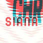 SIANA salon du blog